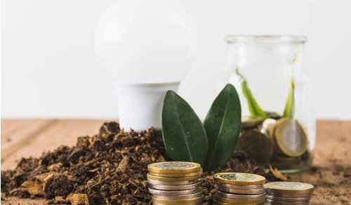 Green Economy