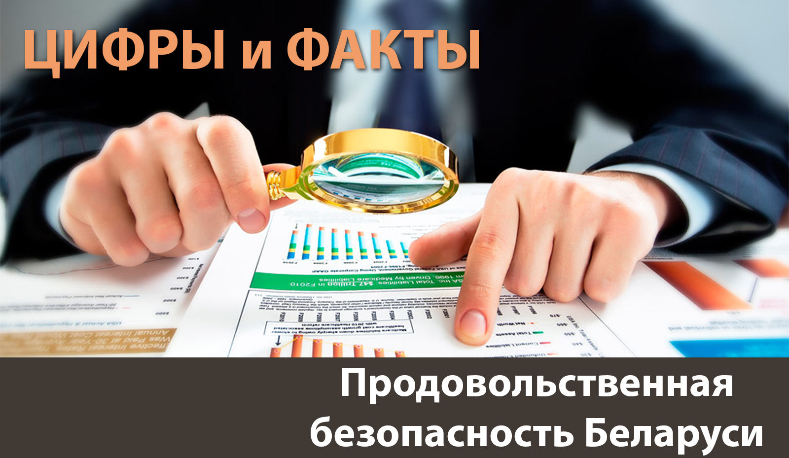 Уровень самообеспечения Беларуси по основным группам продовольствия превышает 100 % Уровень самообеспечения Беларуси по основным группам продовольствия превышает 100 %